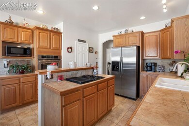 35 Arrowhead Ln, Florissant, CO 80816 - photo 7