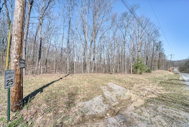 0 Lots 734 & 735 Renegade Pkwy unit 239400, Crab Orchard, TN 37723 - photo 2