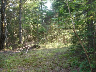 0 Corner of Long Pond & Blk Fly Blvd unit 4392747, Westmore, VT 05871 - photo 4