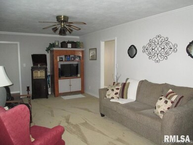 1213 Grandview Ave, Jacksonville, IL 62650 - photo 4