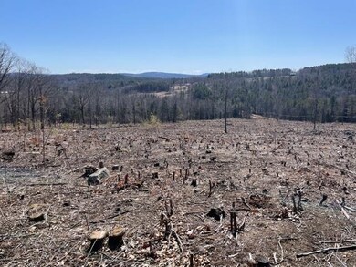 Lot 16 Cass Hill Rd, Meredith, NH 03253 - photo 4