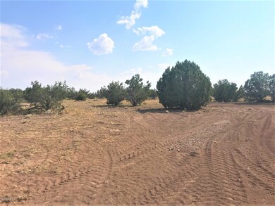 45210 N Honeysuckle Rd, Ash Fork, AZ 86320 - photo 5