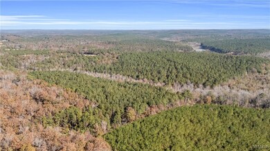 0000 Liberty Bottom Rd, Vernon, AL 35592 - photo 7