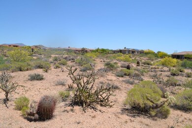 10 Acres (17)