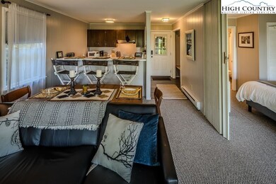 Entry, dining & Kitchen - with folding wall to sep