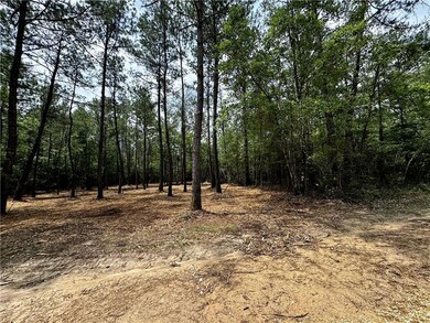 Lot 3 Ranchero Rd, Covington, LA 70435 - photo 3