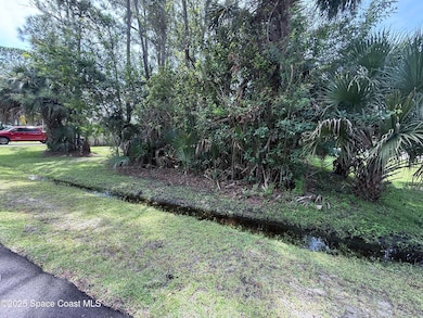 782 Micco St SW, Palm Bay, FL 32908 - photo 5