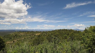 32450 Timber Ridge Ln unit B31, Trinidad, CO 81082 - photo 6