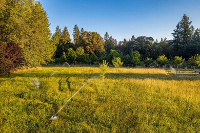 Hwy238 (4)