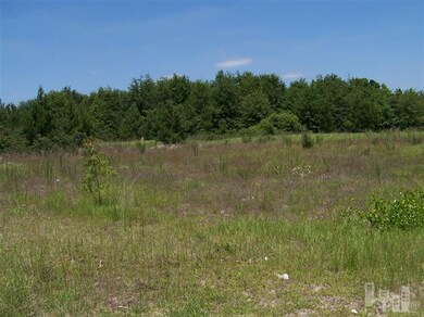 0 Spiveys Corner unit 30492597, Dunn, NC 28334 - photo 4