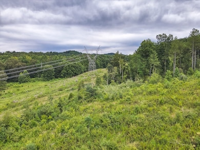 0 Polymer Dr unit 24447838, Decatur, TN 37322 - photo 5