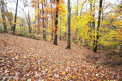 3860 Collier Loop, Dandridge, TN 37725 - photo 3