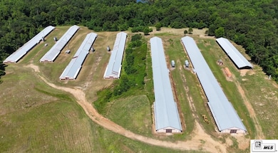 156 Jake Frost Rd, Downsville, LA 71234 - photo 2