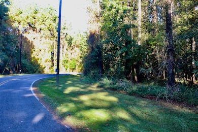 0 Statham Lake Front, Cobb, GA 31735 - photo 2