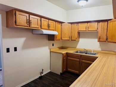 1120 W Tower St, Vandalia, IL 62471 - photo 5