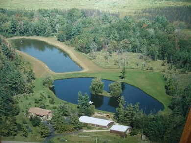 33836 Grosbeak Ave, Camp Douglas, WI 54618 - photo 6