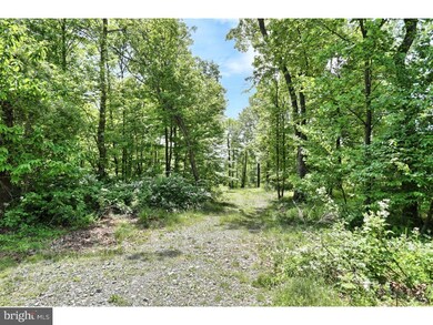 146 Overlook Rd, Morgantown, PA 19543 - photo 3