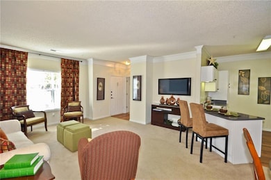 Living room with light carpet, a textured ceiling,