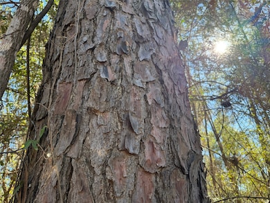 T-7 Eldridge Rd, Cleveland, TX 77328 - photo 4