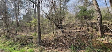 0 Duck Puddle Rd, Greenup, KY 41144 - photo 4