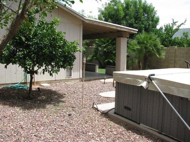 Side yard has citrus trees!