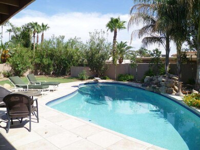 Huge backyard pool