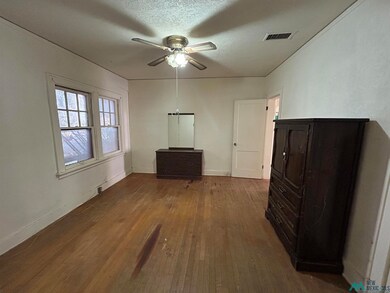 703 N Halagueno St, Carlsbad, NM 88220 - photo 5