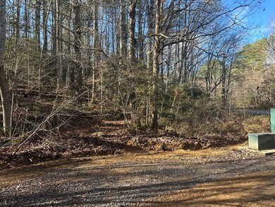 TBD Dickey Rd, Murphy, NC 28906 - photo 5