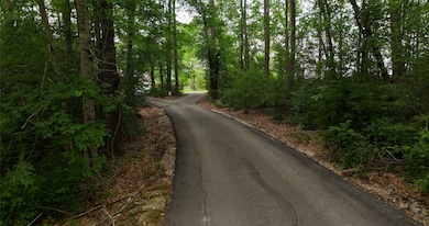 Secluded drive up to the house.