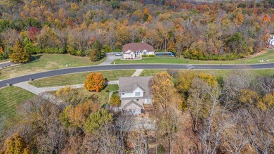 DJI_20241028091219_0019_D