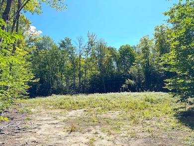 5146 Michigan 123 unit 5146, Eckerman, MI 49728 - photo 7