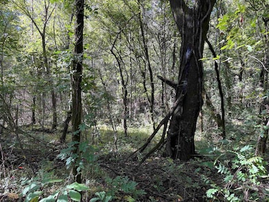 0 Bethuel Rd unit 1, Unincorporated, TN 38053 - photo 5