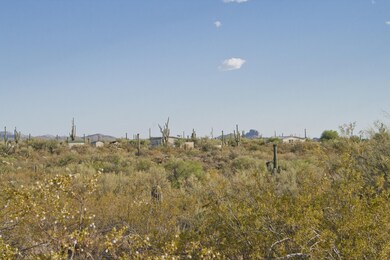 Southern View