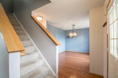 167 Eisenhower Dr unit 1, Oswego, IL 60543 - photo 5