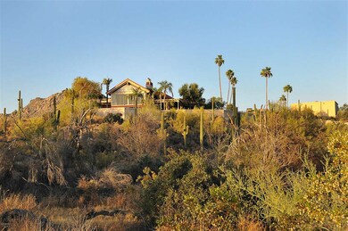 003_Desert View