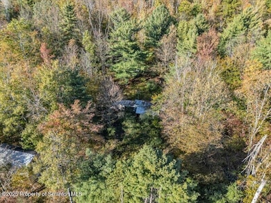 1573 Cork Hill Rd, Brackney, PA 18812 - photo 5