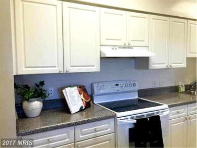 3005 Leisure World Blvd S unit 705, Silver Spring, MD 20906 - photo 7