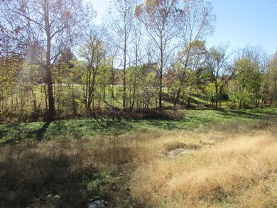 Tbd Peach Brook, Nixa, MO 65714 - photo 5