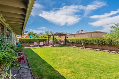 Beautifully maintained back yard