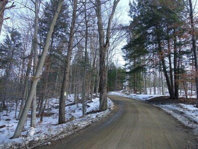 0 Parker Rd unit 201425381, Hadley, NY 12835 - photo 3