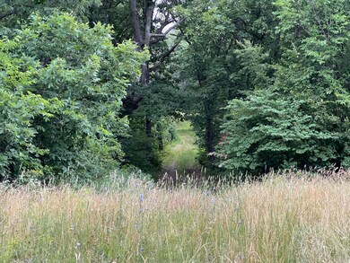 IMG_0282