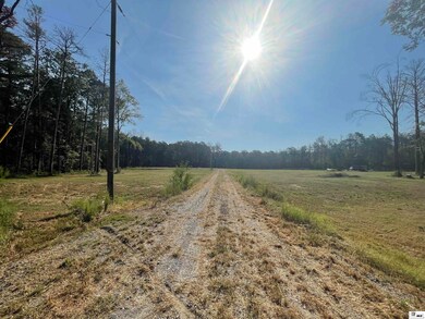 5046 Louisiana 139, Monroe, LA 71203 - photo 4