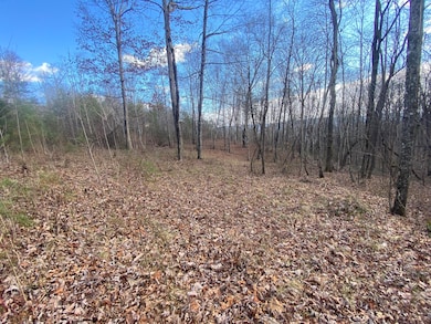 bluff view 5