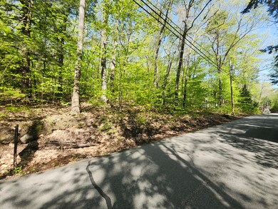 Lot #006 Trickey Pond Rd, Naples, ME 04055 - photo 6