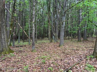 IMG_0887