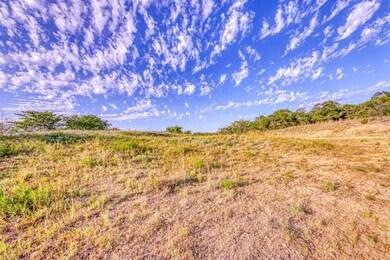 TBD-20 Spring Ranch Dr, Weatherford, TX 76088 - photo 4