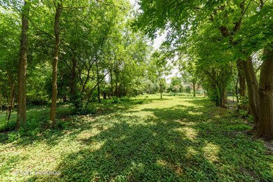 1365 Whitcomb Ave, Des Plaines, IL 60018 - photo 4