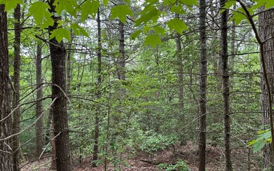Additional View