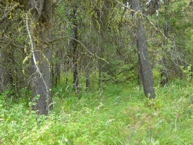 59 Sun Valley Place unit 27, Cascade, ID 83611 - photo 3