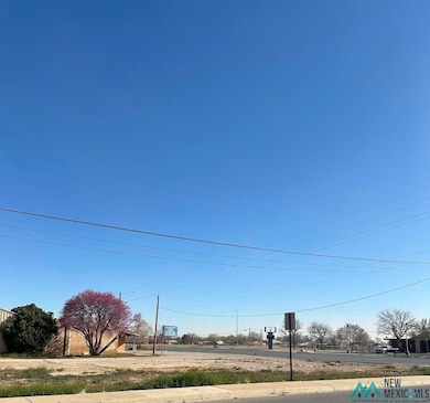 2698 S Main St, Roswell, NM 88203 - photo 3